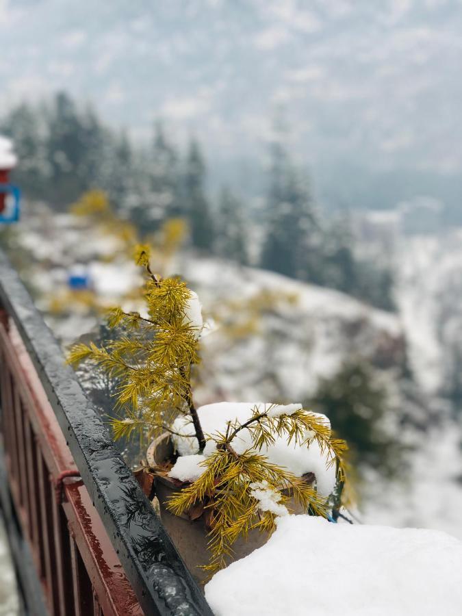 Paradise Inn By Hbr Dharamshala Exterior photo